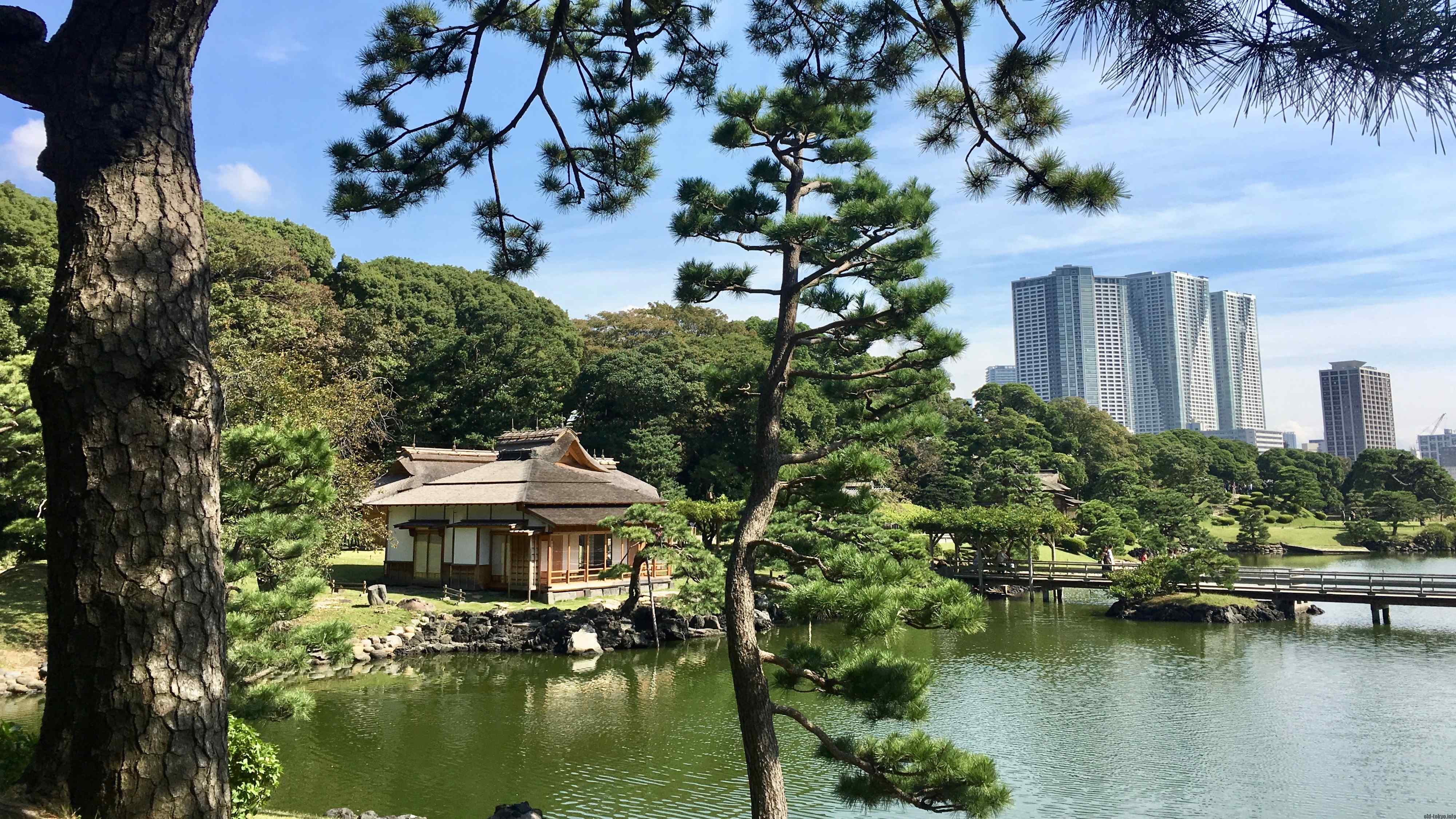 🌳 하마리큐 은사 정원(하마리큐 온시 테이엔) 이미지 1